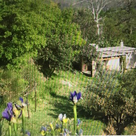 Villa Cortijo La Vinuela Atalbeitar Exterior foto