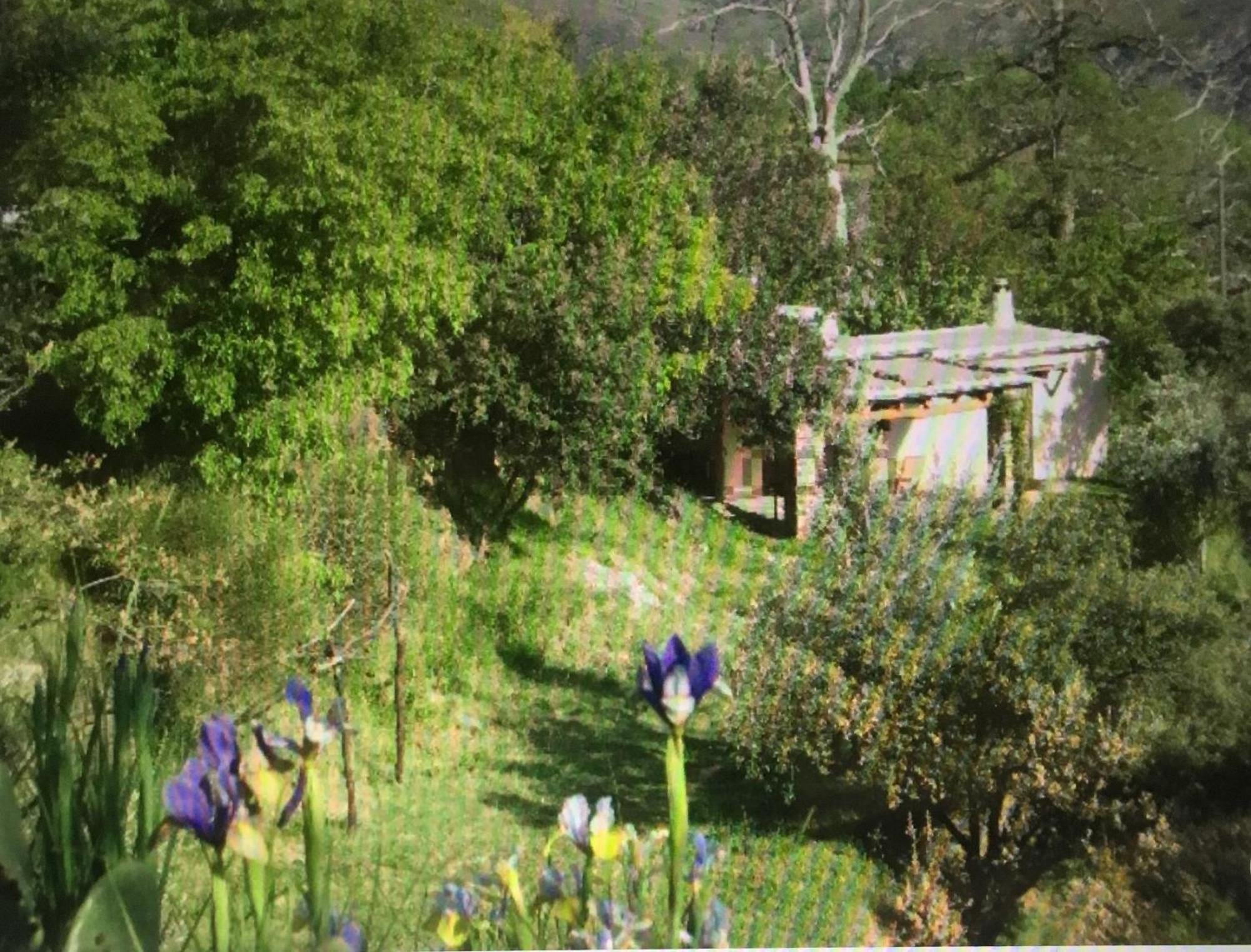 Villa Cortijo La Vinuela Atalbeitar Exterior foto