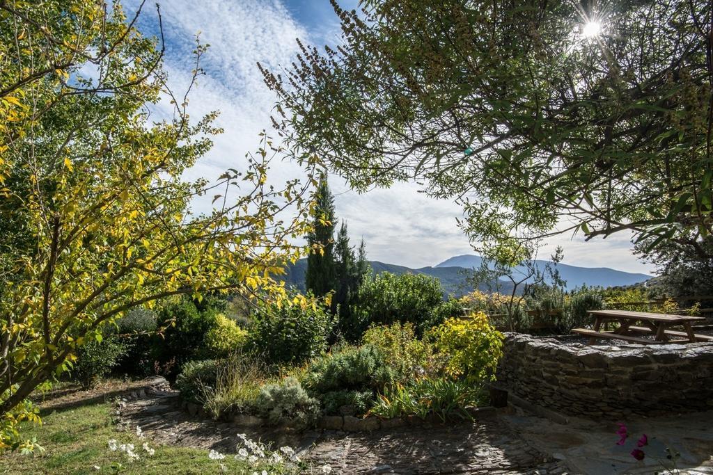 Villa Cortijo La Vinuela Atalbeitar Exterior foto
